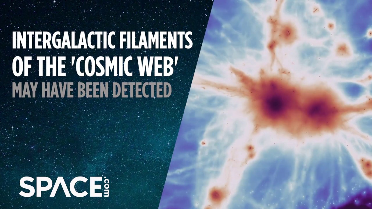 Intergalactic Filaments of the 'Cosmic Web' May Have Been Detected