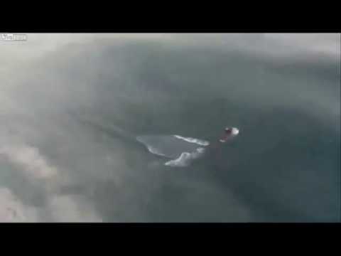 "Sea Creature" Filmed by Thai Fishermen