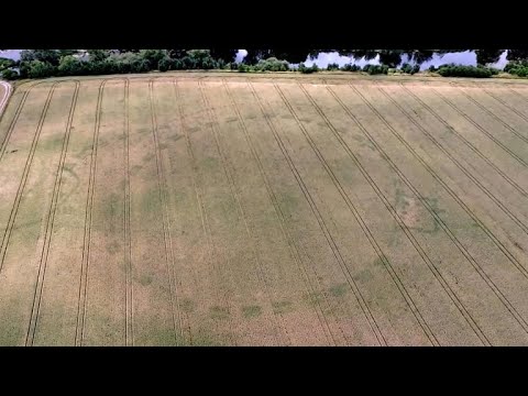 Drought reveals ancient Stonehenge-like monument in Ireland