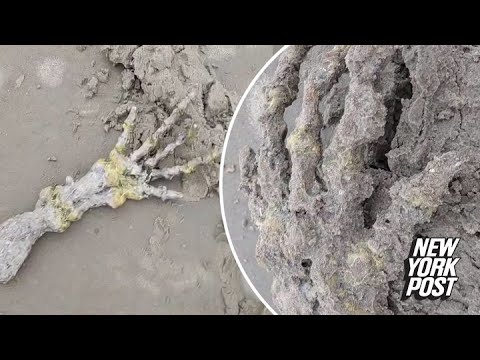 Shocked couple discovers ‘alien hand’ on beach: ‘Looks like ET’s bones!’ | New York Post