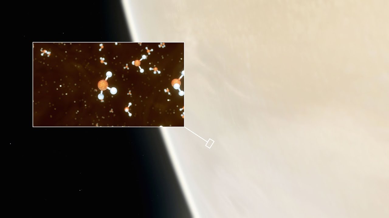 Possible signs of life on Venus