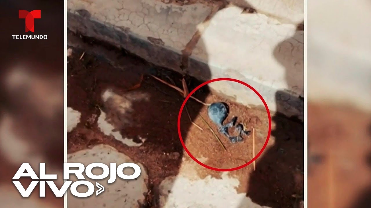 Encuentran supuesto cadáver de un extraterrestre en Bolivia