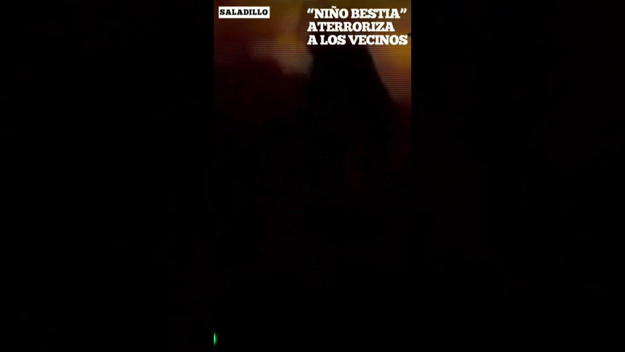 Extraña Bestia En Saladillo ¿Lobizón o Nahual?  #paranormal #aterrador #miedo