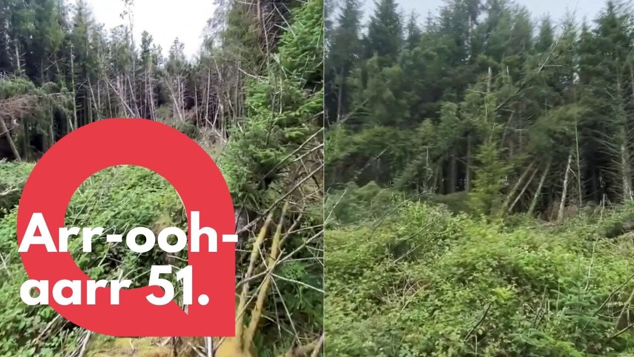 Man discovers what he believes to be a UFO "crash site" | SWNS