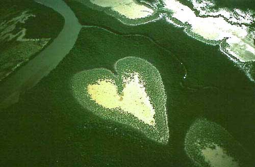 coracao-voh Imagem relacionada a Coração de Voh, Hardy Reef e Coração em Marte
