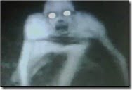 criatura-de-lousiana