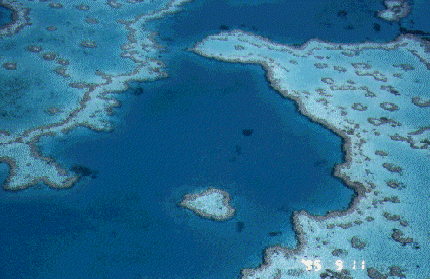 hardy-reef1 Imagem relacionada a Coração de Voh, Hardy Reef e Coração em Marte