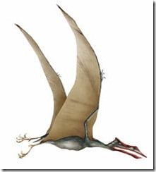 pterossauro