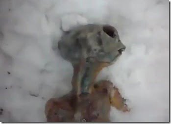 siberia-extraterrestre