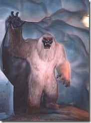 yeti
