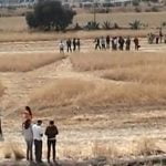 Imagem relacionada a Agroglifos aparecem pela primeira vez no México