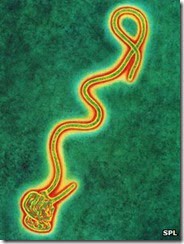 ebola