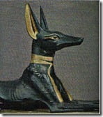 anubis-chacal