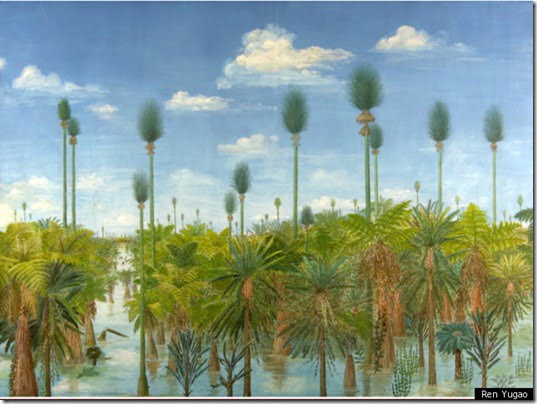 floresta-perdida-china2