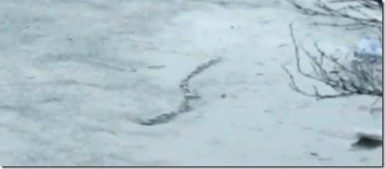 monstro-lago-islandia