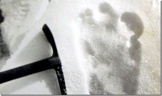 BRITAIN AUCTION YETI PHOTOS