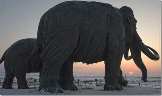 ???????????? ?????????? "???????"