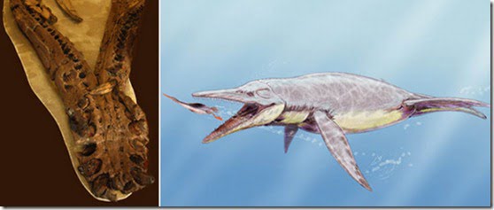 dinossauros-artrites