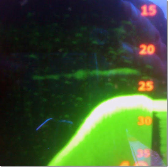 sonar-monstro-lago-ness