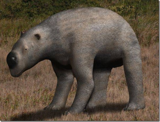 diprotodon