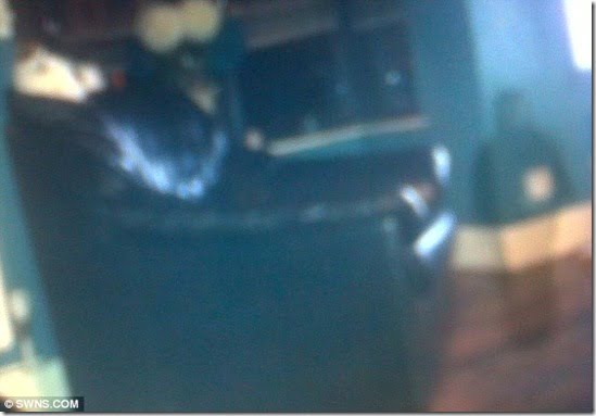 fantasma-johnny-junior