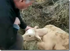 fazendeiro-raio-da-morte