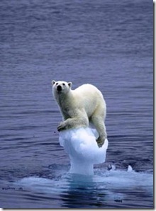 derretimento_geleiras