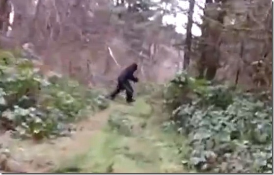 pe-grande-washington