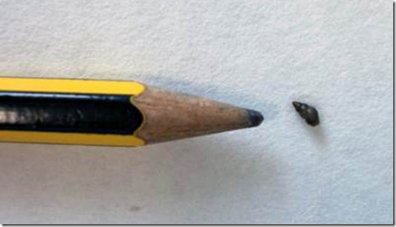 pequeno-caracol
