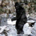 Imagem relacionada a Homem culpa 'Pé Grande' por arrombamentos