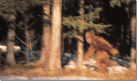 bigfoot-prova