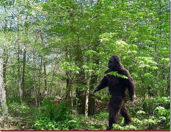 bigfoot
