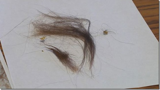 pe-grande-amostras-3