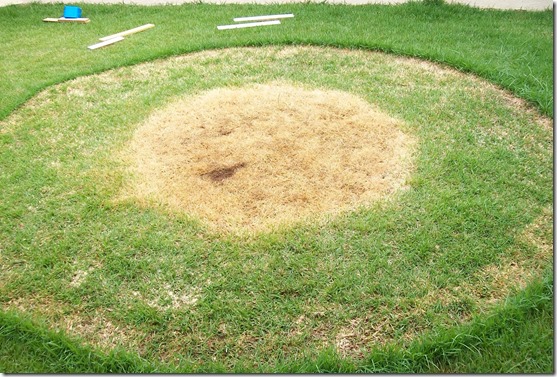 circulo-artur-nogueira-5