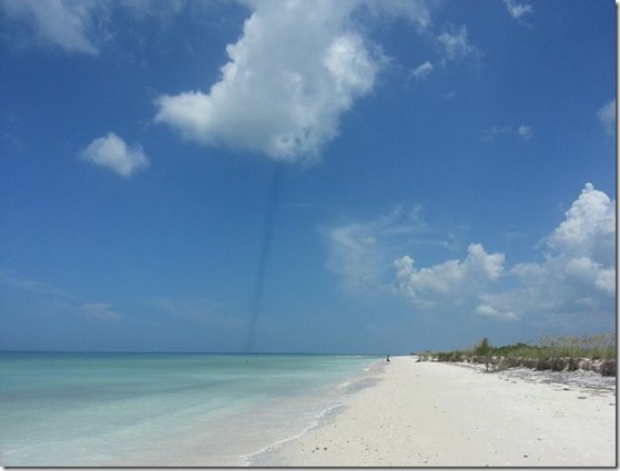 linha-escura-florida