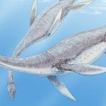 Imagem relacionada a Encontrado monstro marinho de 130 milhões de anos de idade