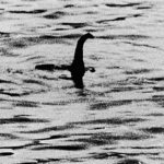 Imagem relacionada a Não houve avistamentos do Monstro do Lago Ness em 2013