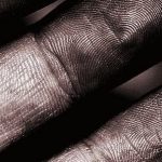 Imagem relacionada a Suas impressões digitais são verdadeiramente únicas?