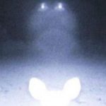 Imagem relacionada a OVNI e luzes estranhas surgem em filmagem de câmera no meio da floresta