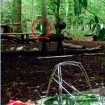 Imagem relacionada a Campistas encontram 'Bruxa de Blair' da vida real