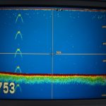 Imagem relacionada a Sonar de navio capta algo misterioso no Lago Ness