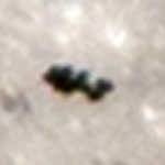 Imagem relacionada a OVNI aparece durante fenômeno da superlua