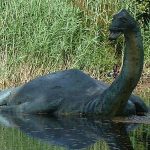 Imagem relacionada a King Kong inspirou a lenda do Monstro do Lago Ness?