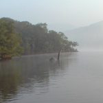 Imagem relacionada a Monstro do Lago Ness fotografado no Lago Windermere