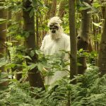 Imagem relacionada a Yeti: impressão digital de mãos encontrado perto de Moscou