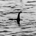 Imagem relacionada a Cientista busca por DNA do Monstro do Lago Ness