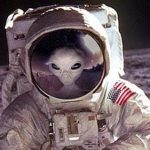 Imagem relacionada a Astronauta afirma que ETs evitaram uma guerra nuclear