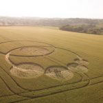 Imagem relacionada a Agroglifo aparece em chácara de Prudentópolis, no Paraná