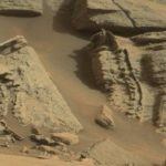 Imagem relacionada a Esqueleto de réptil alienígena encontrado em Marte