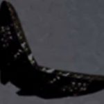 Imagem relacionada a OVNI em forma de borboleta filmado nos céus de Ohio